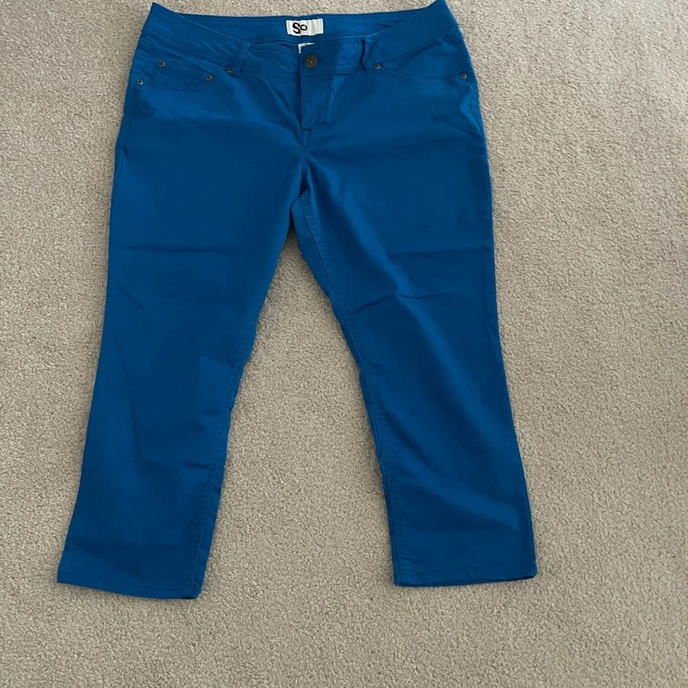 Capris - Picture 1 of 3